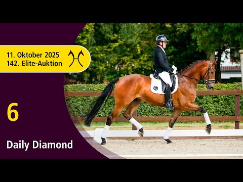 No. 6 Daily Diamond by Danone I - Lauries Crusador xx | 142nd Verden Elite Auction, October 11