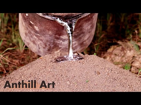 Aluminum Fire Ant Colony Cast - Powder Coated with Cast Iron Color (Cast #109)