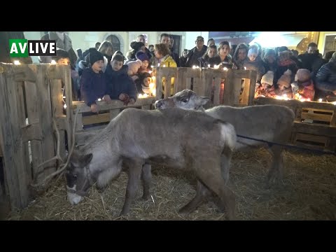 Cade la neve e arrivano le renne a Santo Stefano del Sole
