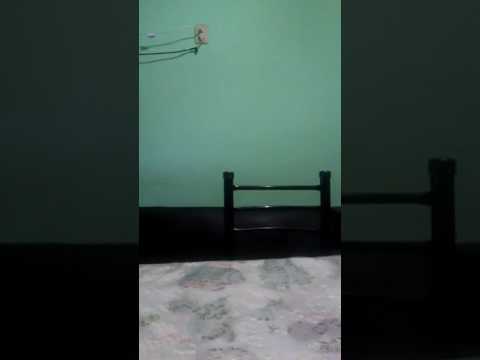 El fisurama dando pelea