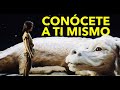 La Historia Sin Fin Conócete A Ti Mismo
