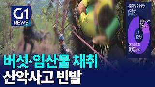 [G1뉴스]버섯·임산물 채취 사고 빈발