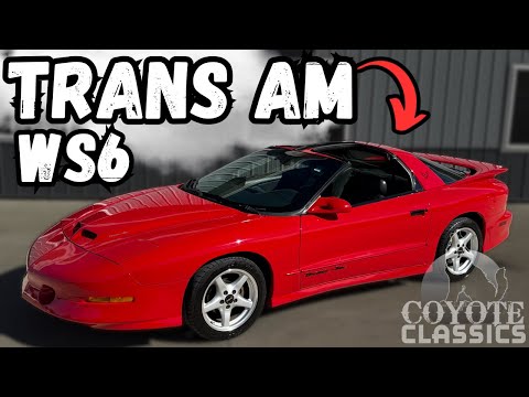 1996 Pontiac Firebird Trans Am (CC-2013762) for sale in Greene, Iowa