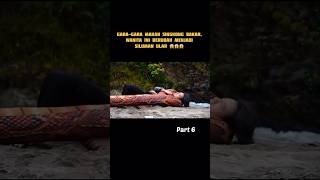 Download lagu Jadi siluman ular gara-gara makan singkong bakar 😱 #shorts #shortvideo #shortmovie #film mp3