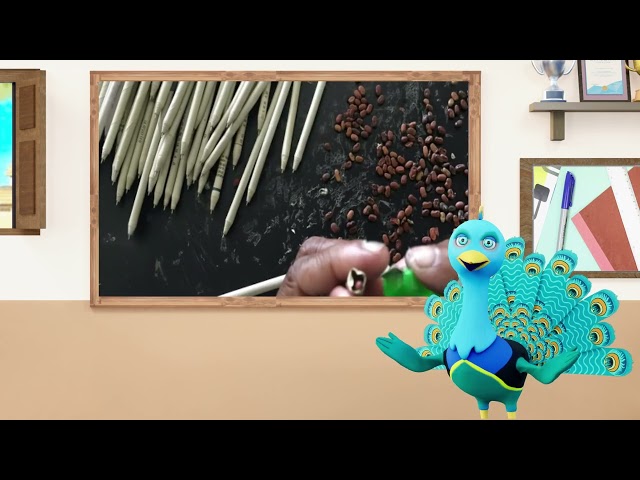 thumbnail of the course