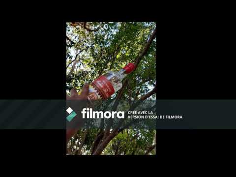 Djahval KBMP  X  DJ Noks  _  KOMPA BORDEL 2k18