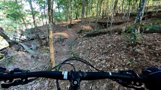 Root Filled Fun at Keg Creek Trail, Appling Georgia