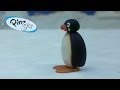 Pingu: Pingu Runs Away from Home