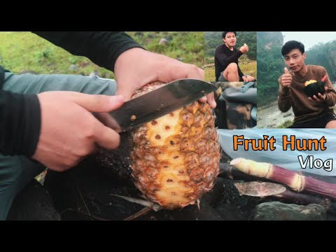 Fruit Hunt in the Foggy Morning || Refreshment Vlog || Mandip Magar