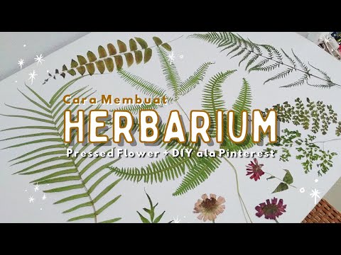 , title : 'Jangan Salah Teknik! Inilah Cara Membuat Herbarium(Pressed Flower) yg benar +DIY | Room Decor Part 3'