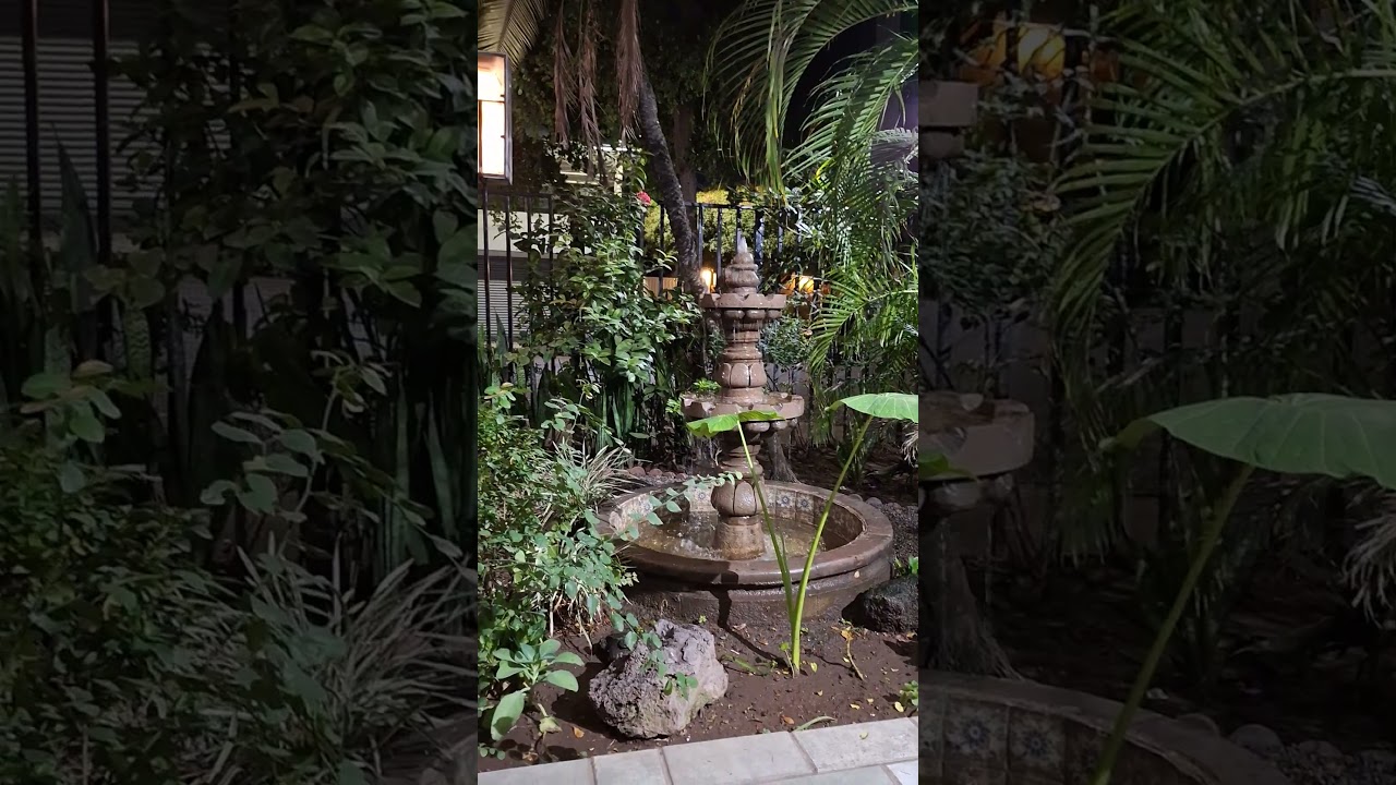 Miguel Ángel Avilés-3