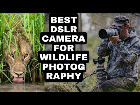 BEST DSLR CAMERA FOR WILDLIFE PHOTOGRAPHY
