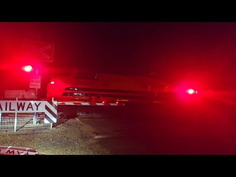 7962V/7996V SSR SG grain (CLF2, BRM002, CLP9), Birchip to Melbourne, 2230, 25/9/24, Elmhurst VIC