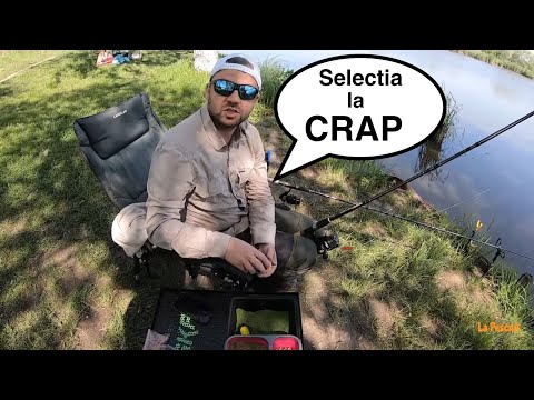 La Pescuit cu Mole pe Balta Nana-Pasti 2024 - Selectia la Crap