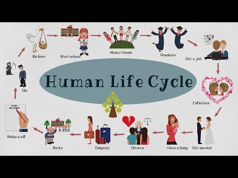 Human Life Cycle Vocabulary | Human Life Cycle in Less Than 3 Minutes