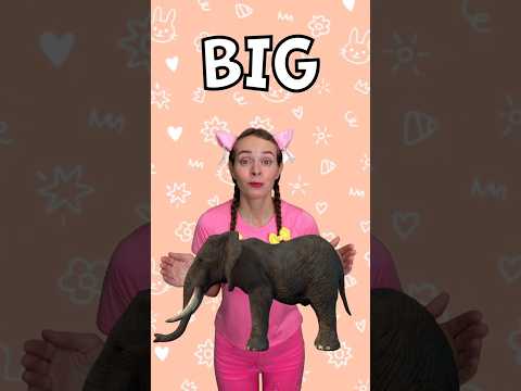 English Opposite Words #english #opposites #child #preschool #education