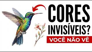 Miniatura do vídeo