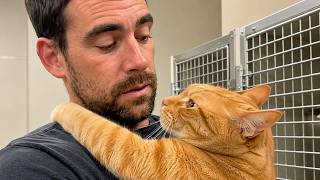 The Shelter Cat Chose the “Wrong” Visitor… Until I Understood Why