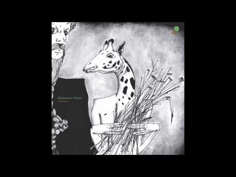 Mushrooms Project - Undergrass - Album Promo