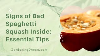 Signs of Bad Spaghetti Squash Inside Essential Tips