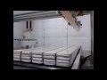ESSE2 SCARICATORE SERIE N PER PACCHI N SERIES UNLOADER FOR PACKAGE
