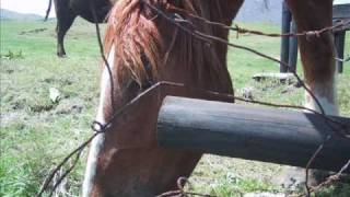 ＫＡＮ　ＫＡＮのクリスマス・ソング