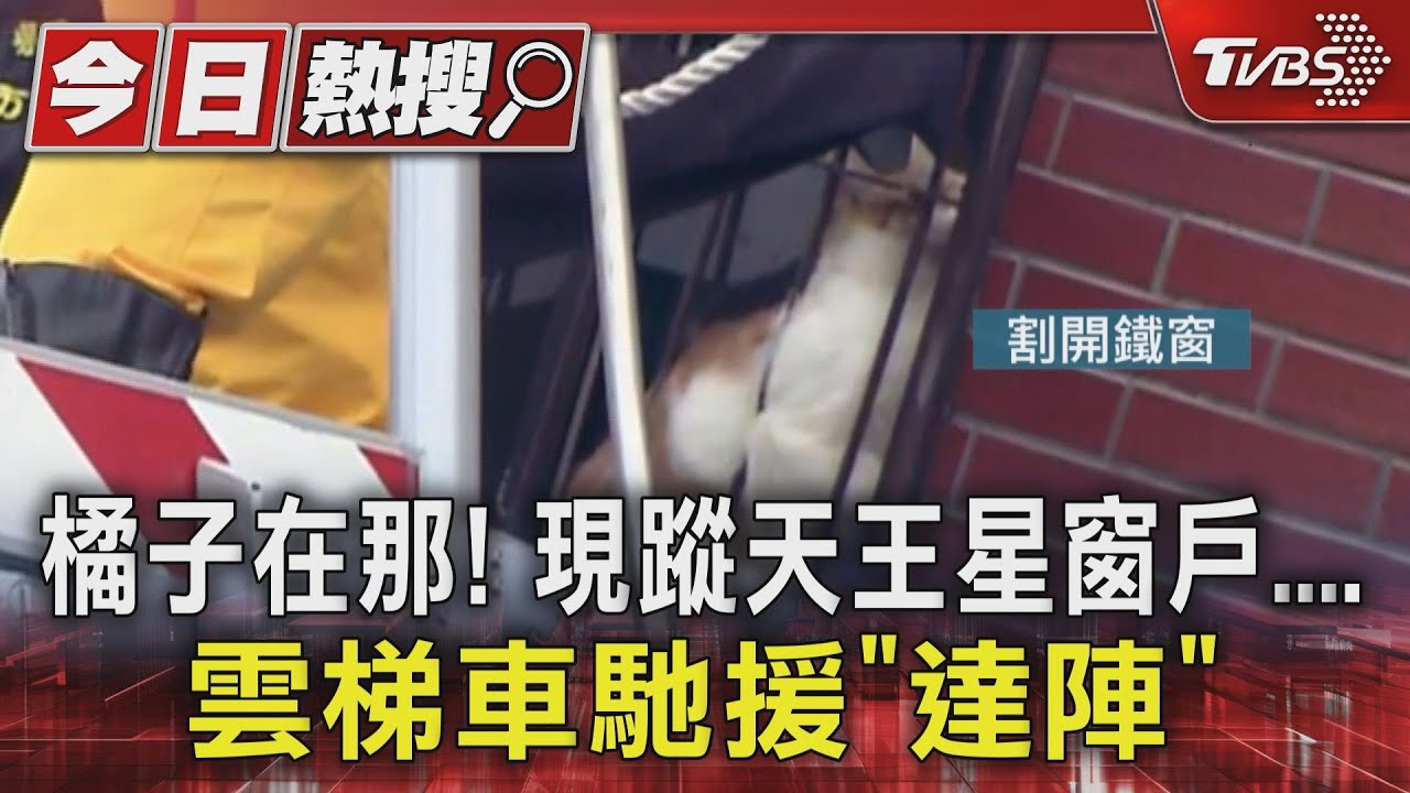 橘子在那！現蹤天王星窗戶　雲梯車馳援「達陣」　驚險過程全紀錄
