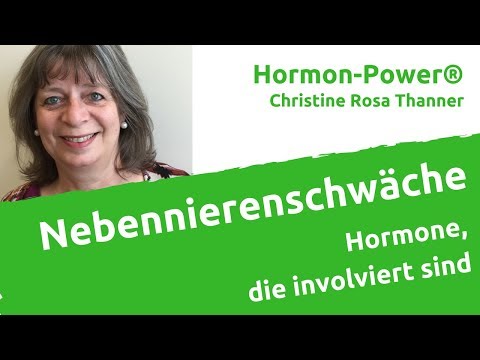 Nebennierenschwäche:  Hormone, die involviert sind