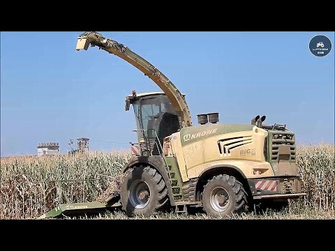 Krone Big X 780 & 8 Deutz - LISSIGNOLI - Trinciato mais 2022