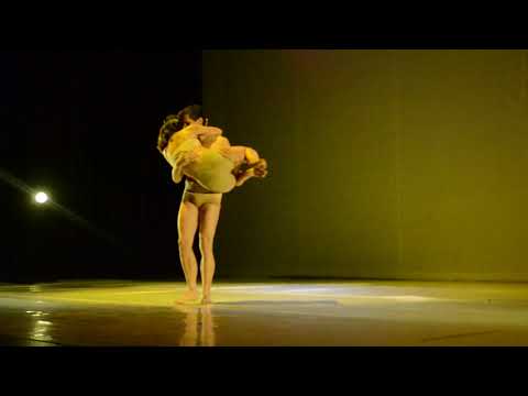 Le Parc de Angelin Preljocaj - UNEARTE