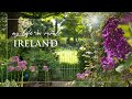 An Ordinary Life | Cottage Garden Design | Country Living | Silent Vlog | Healthy Banana Bread