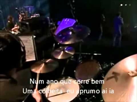 Dany & Diego - "Sertanejo Sem Mistura"(com letra)