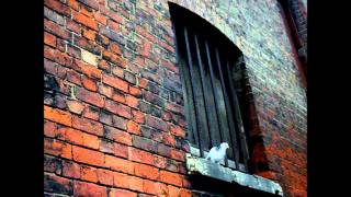 Lunch Hour Pops (Broadcast cover) - Out in the Sun