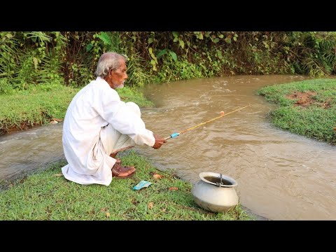 Fishing Video || The old grandfather is catching a lot of fish from the canals in the field
