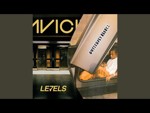 DJ Lewis McCrindle - Butterfly Effect x Levels (Travis Scott x Avicii)