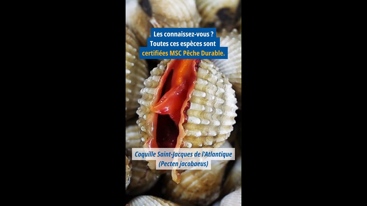 Connaissez-vous ces espèces ?