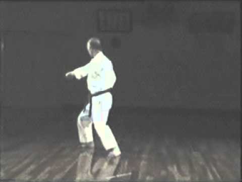 Suzuki sensei - Niseishi