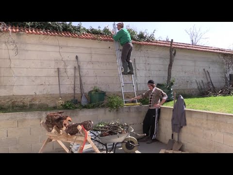 Ro et Cut - Le Karma