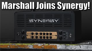 The Synergy JMP Module Review