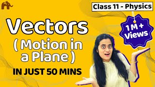 Vectors Class 11 | Motion in a plane - Physics NEET JEE CBSE