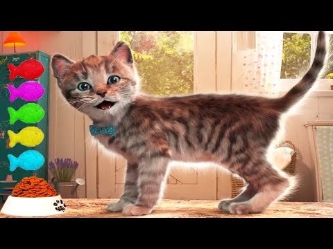 Little Kitten Adventures - Play Fun Costume Dress-Up Party & Pet Care Kids Game
