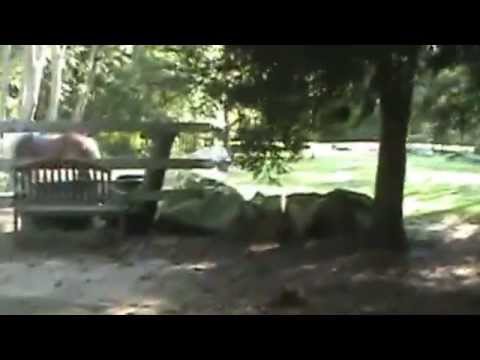 340 Neck Road Rochester Ma Real Estate for Sale