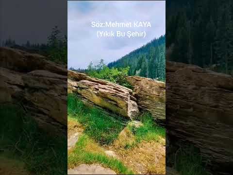 Mehmet KAYA -Yıkık Bu Şehir                              (Türkü Yorumu Elvan ÇİÇEK)