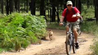 preview picture of video 'Russ and Mike of AZ Mt. Bike Tours ride the Mogollon Rim and Promentory Butte'