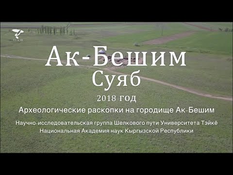 2018 Ак-Бешим - Научно-исследовательская группа Шелкового пути Университета Тэйкё