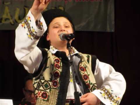 STEFAN CIPRIAN ANTOHE - Florile Ceahlaului, 2017