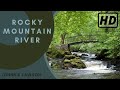 Forest Waterfall Nature Sounds - 1 Hour Relaxing Birds Chirping - River Meditation Sleeping Sound