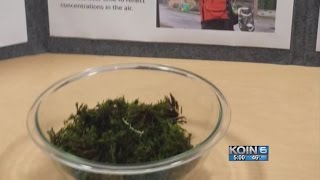 Nickel found in SE Portland moss could be health risk
