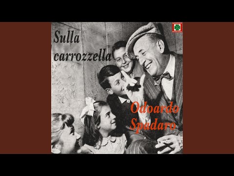 Sulla carrozzella