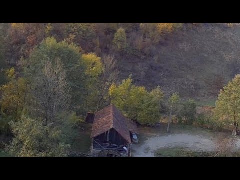 Moara cu noroc, Rosia